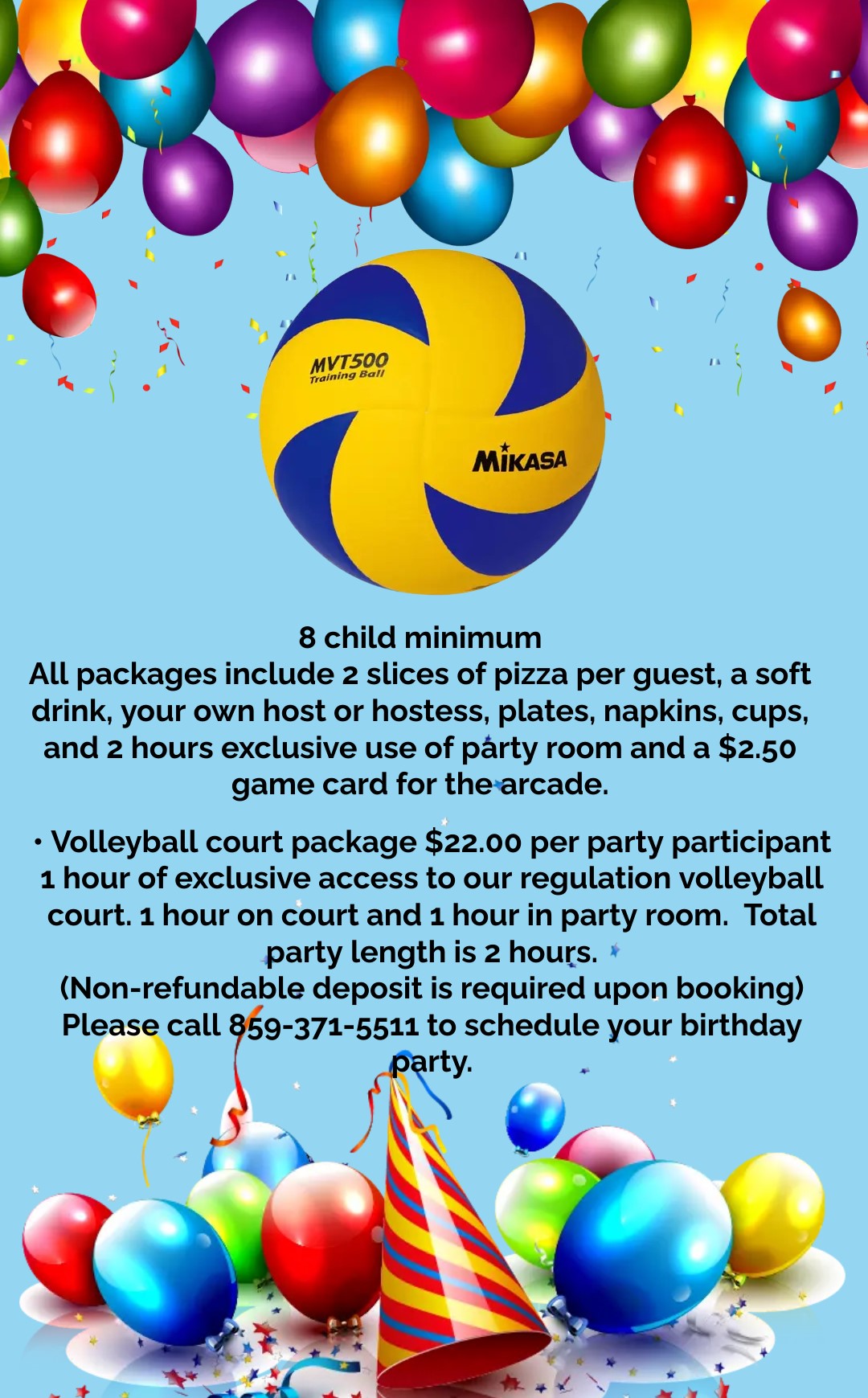 Volleyball Court Birthday Party | Sports of all Sorts KY