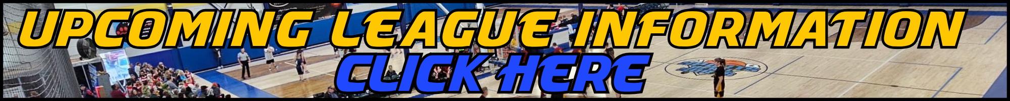 Copy of Copy of Copy of Copy of Basketball TRAINING LOGO (5)